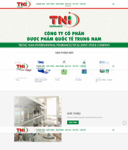 Cloudzone-dich vu thiet ke website