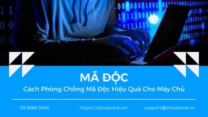 Mã Độc Là Gì? Cách Phòng Chống Mã Độc Hiệu Quả Cho Máy Chủ 2024